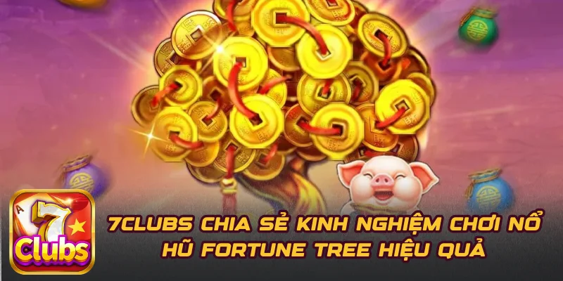 7CLUBS Chia Sẻ Kinh Nghiệm Chơi Nổ Hũ Fortune Tree Hiệu Quả