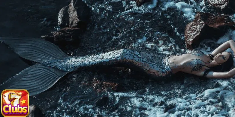 Mơ Thấy Nàng Tiên Cá 7club